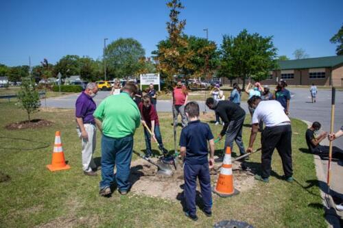 City of Greenville workers helping Students planting trees