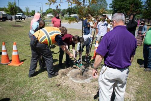 City of Greenville workers helping Students planting trees